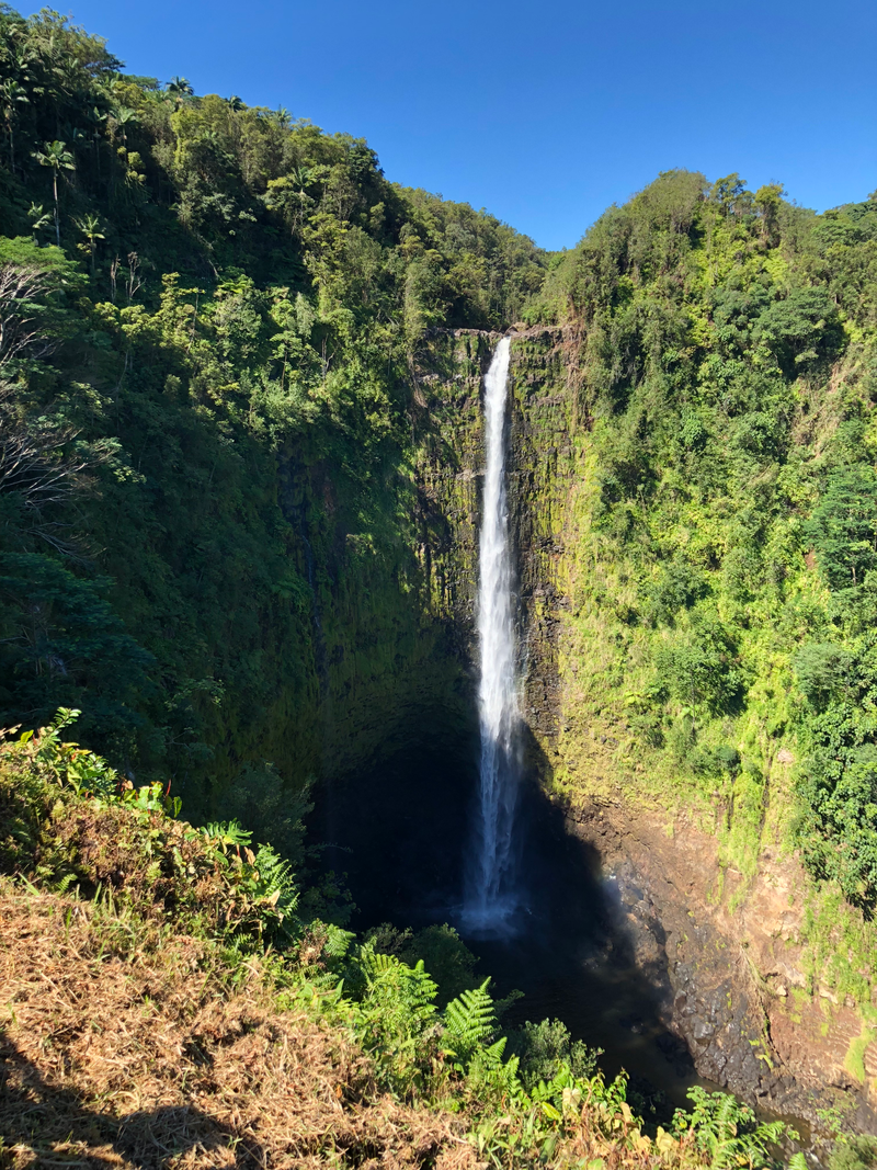‘Akaka Falls - where water drizzles over some rocks and produces inspiration. Easy trail - High BMI friendly.